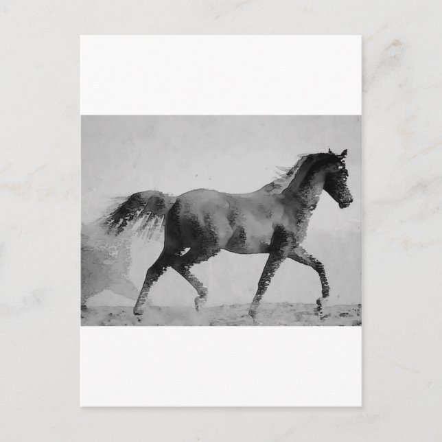 Carte Postale Cheval de marche noir et blanc (Devant)