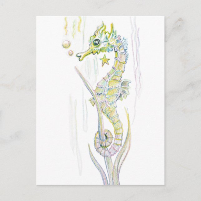 Carte Postale Cheval de mer Succulent (Devant)