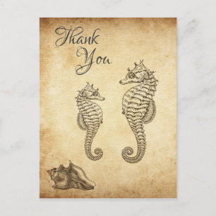 Carte Postale Cheval de mer vintage et Merci de plage Conch Shel