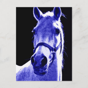 Carte Postale Cheval de nuit