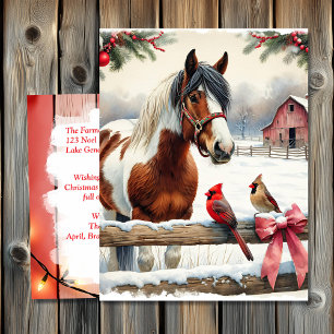 Carte Postale Cheval de Pinto tacheté et cardinaux Personnalisé