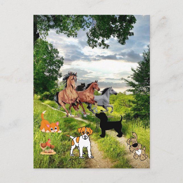 Carte postale Cheval de poulet Chat de chien (Devant)