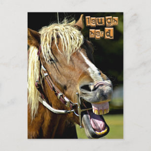 Carte postale Cheval de rire