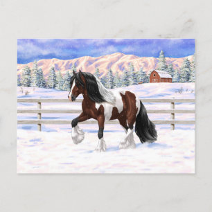Carte Postale Cheval de Tinker Tinker Gypsy Vanner Brown Pinto