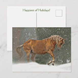 Carte Postale Cheval de vacances en neige