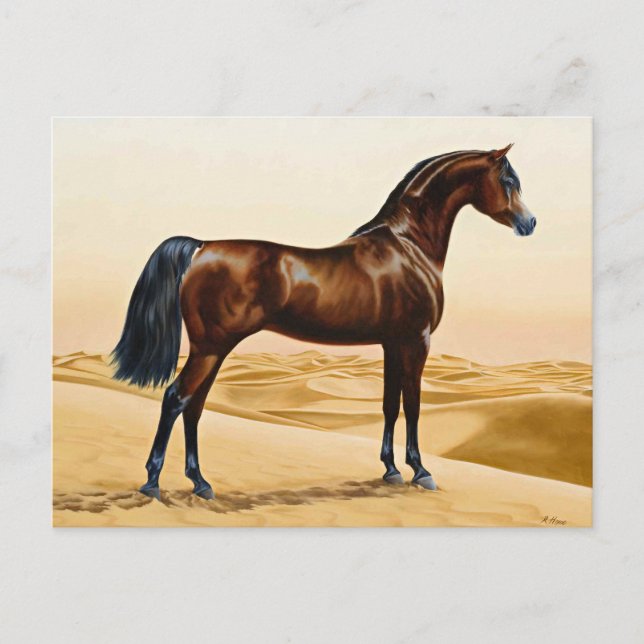 Carte Postale Cheval d'exposition de dressage (Devant)