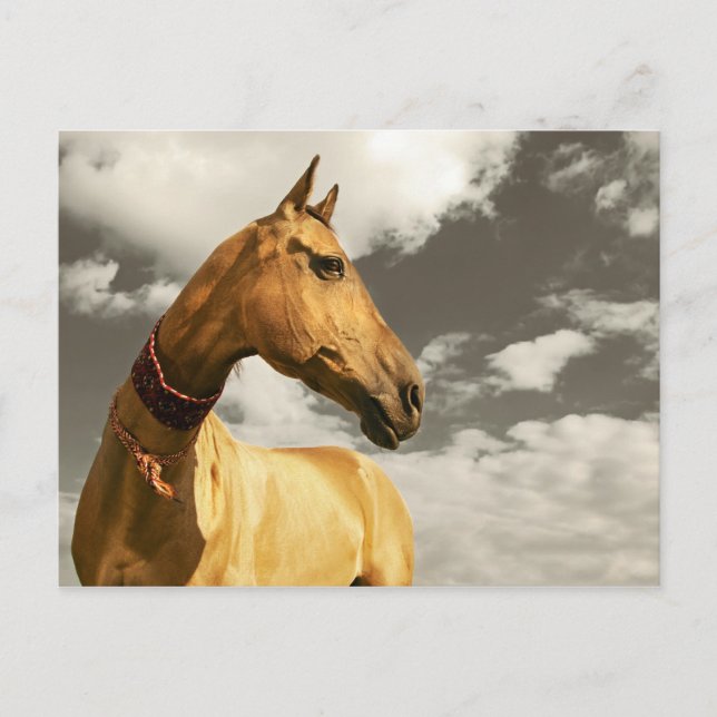 Carte Postale Cheval d'or du Turkménistan (Devant)