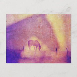 Carte Postale Cheval Dreams par Angelandspot