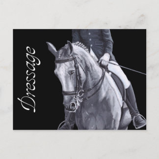 Carte postale Cheval Dressage Duo noir et blanc