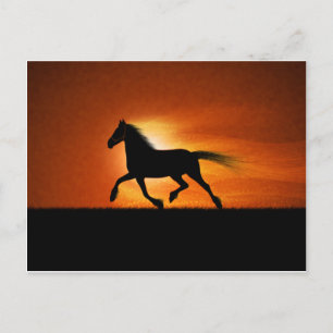 Carte Postale Cheval en course