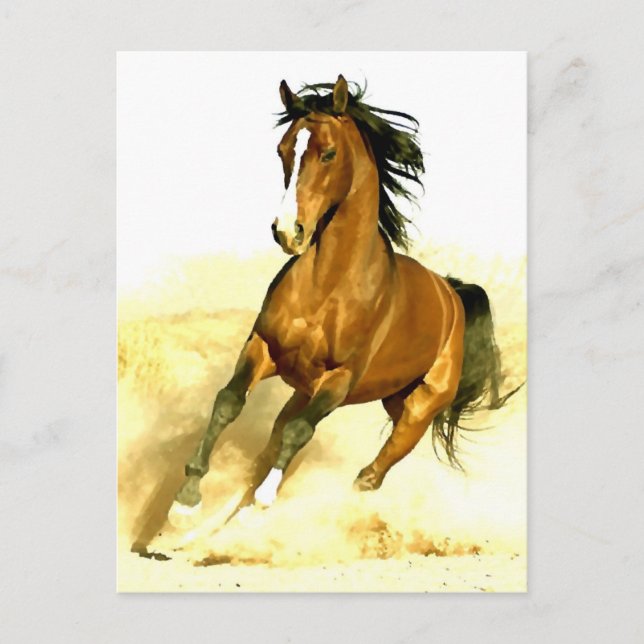 Carte Postale Cheval en course (Devant)