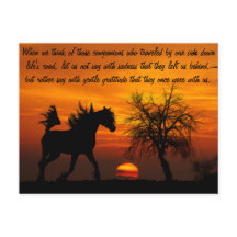 Cheval en liberté au coucher du soleil