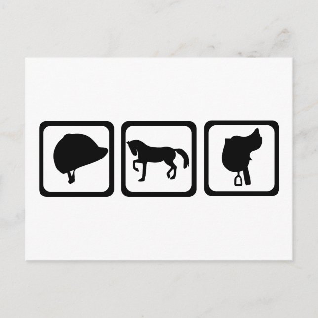 Carte Postale Cheval - équitation (Devant)