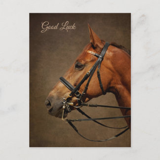 Carte postale Cheval Et Bridle Bonne Chuck