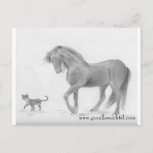 Carte postale Cheval et Chat