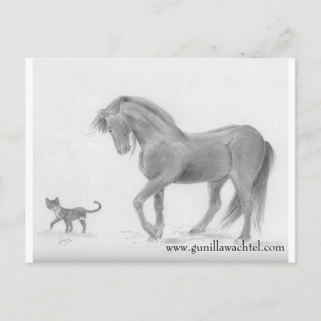 Carte postale Cheval et Chat (Devant)