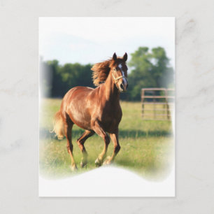 Carte postale Cheval Galloping de châtaignes