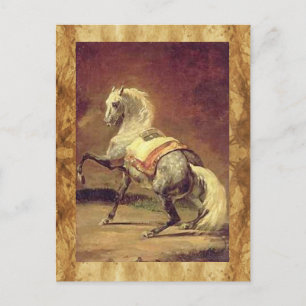 CARTE POSTALE CHEVAL GRAY REMPLI