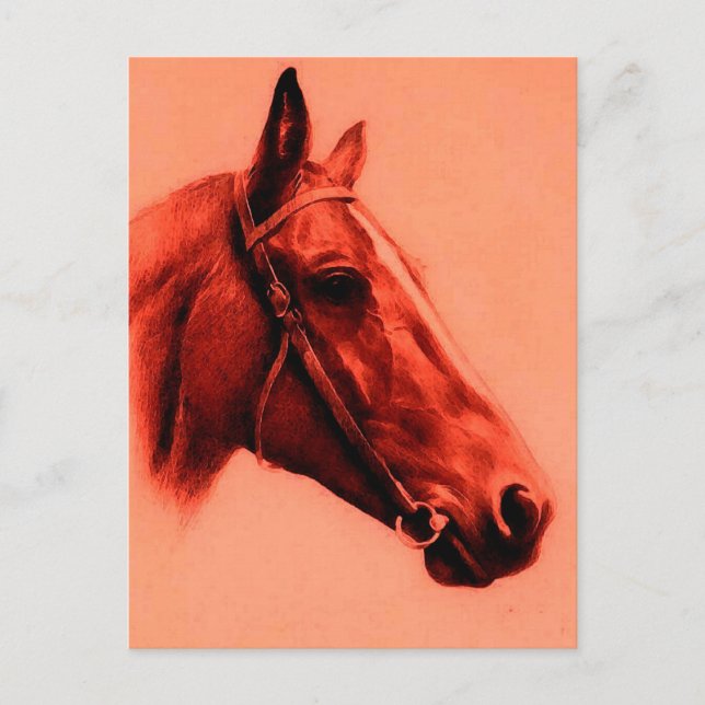Carte Postale Cheval Head (Devant)