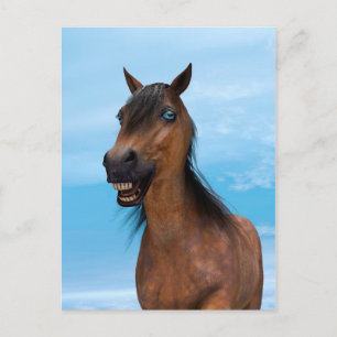 Carte Postale Cheval heureux
