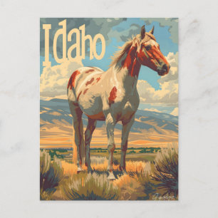 Carte Postale Cheval Idaho Appaloosa