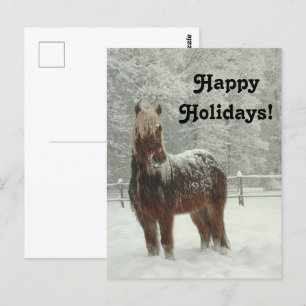 Carte Postale Cheval islandais en hiver, Happy Holidays Photo