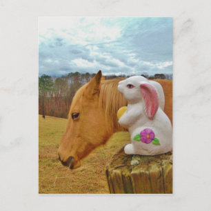 Carte Postale Cheval Jaune, Lapin De Printemps
