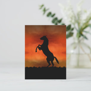 Carte Postale Cheval Libre Au Coucher De Soleil