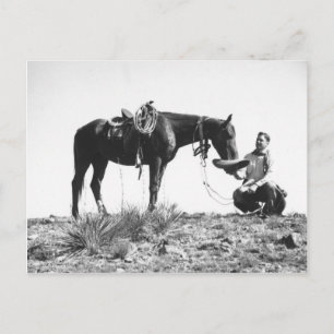 Carte Postale Cheval mangeant du casquette d'un cowboy.