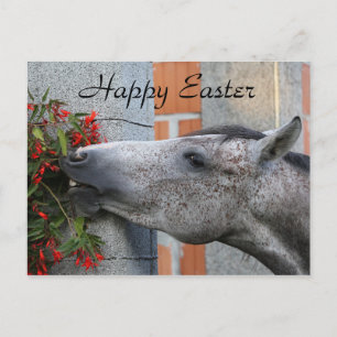 Carte Postale Cheval mignon et fleurs Ferme amusante Joyeux Pâqu