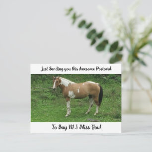 Carte Postale Cheval mignon "Je te manque" dit Hi Post Card