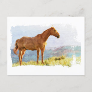 Carte Postale *~* Cheval - Montagnes Rocheuses AR22 Aquarelle éq