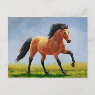 Carte Postale Cheval Mustang Buckskin Wild Runse
