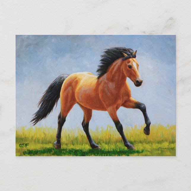 Carte Postale Cheval Mustang Buckskin Wild Runse (Devant)