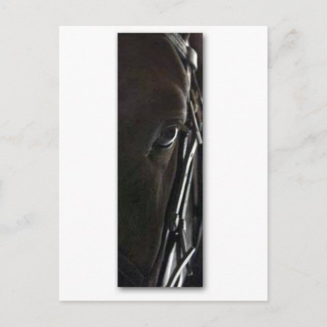 Carte Postale cheval noir (Devant)