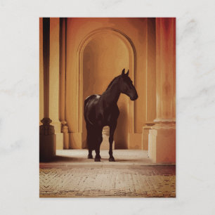 Carte Postale Cheval noir élégant dans une arche dorée