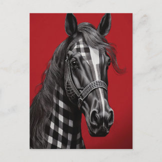 Carte Postale Cheval noir en plaid