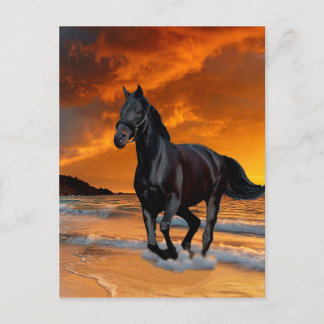 CARTE POSTALE CHEVAL NOIR, ESCALION NOIR, FONCTIONNEMENT ET GRAT