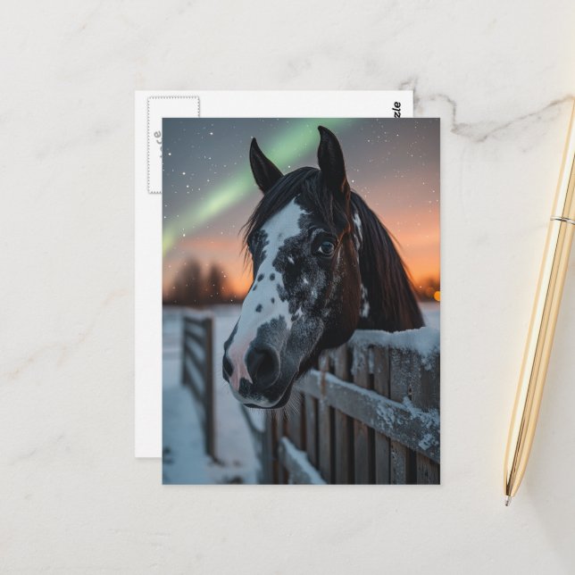 Carte Postale Cheval Paint Winter Aurore Boréale (Devant/Arrière en situation)