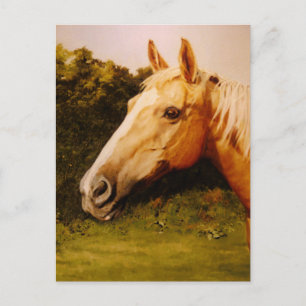 Carte Postale Cheval Palomino avec lame blanche
