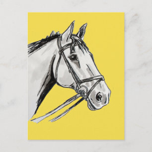 Carte Postale Cheval Portrait Encre et lavage