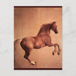 CARTE POSTALE CHEVAL ROUGE