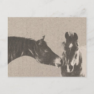 Carte Postale Cheval rustique