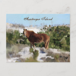 Carte Postale Cheval sauvage de l'île d'Assateague