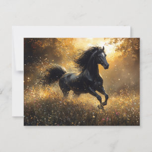 Carte Postale Cheval Sauvage Étalon Noir Mustang