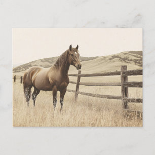 Carte Postale Cheval sur le Range Sepia Vintage