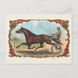 Carte Postale Cheval Sur Roues Vintage Course À Cheval