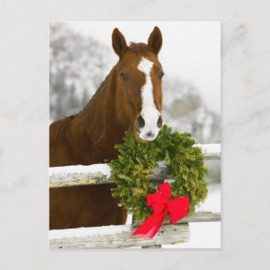 Carte Postale Cheval surplombant la clôture