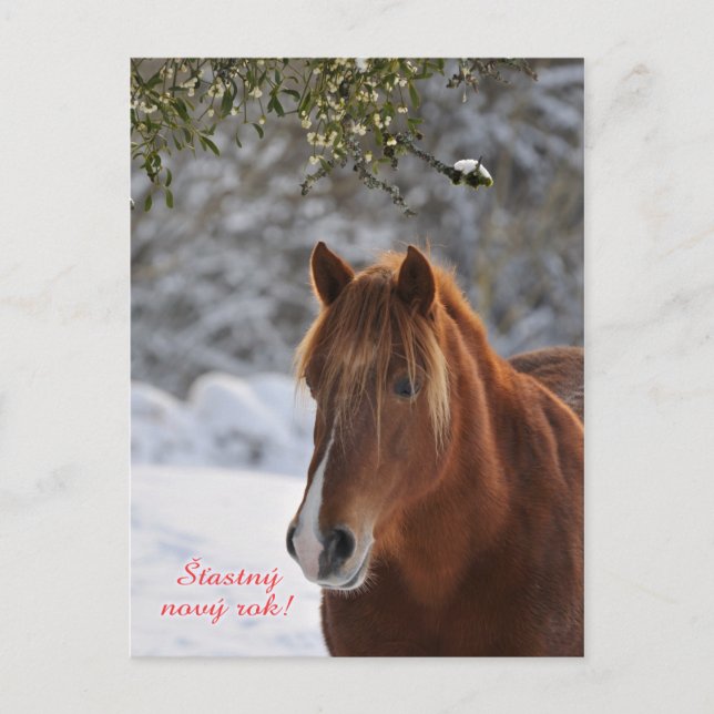 Carte postale Cheval Tchèque Nouvel An (Devant)