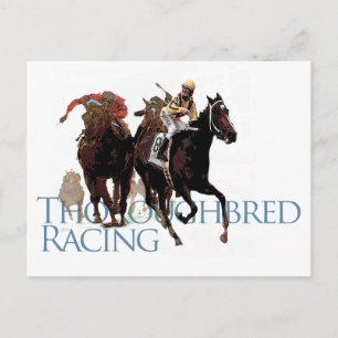 Carte Postale Cheval Thoroughbred Racing Cadeaux